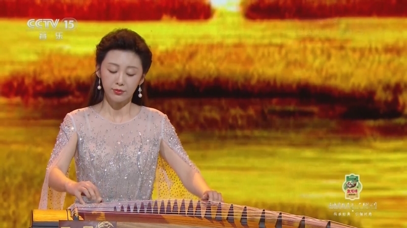 风华国乐 《风华国乐》 20250303