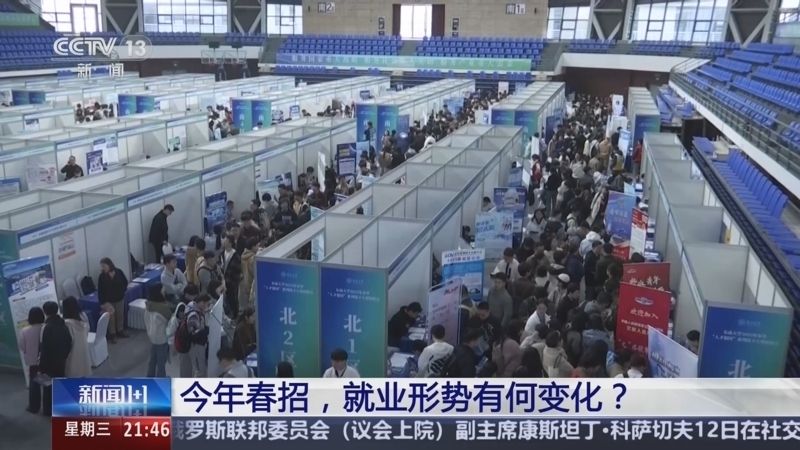 新闻1+1 《新闻1+1》 20250312 今年春招，就业形势有何变化？