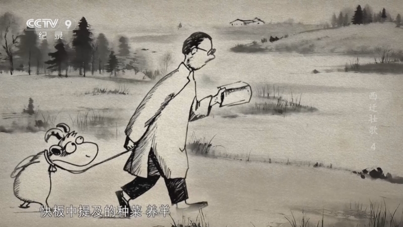 西迁壮歌 《西迁壮歌》 第4集 弦歌不辍
