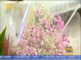 广西新闻 《广西新闻》 20180213