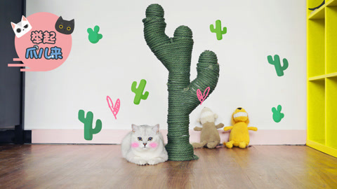 举起爪儿来 DIY仙人掌猫抓柱