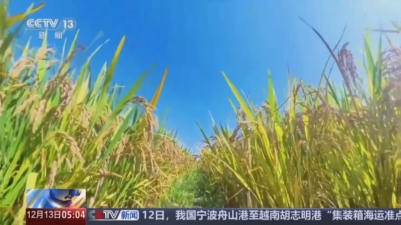 新闻直播间 《新闻直播间》 20251213 05:00