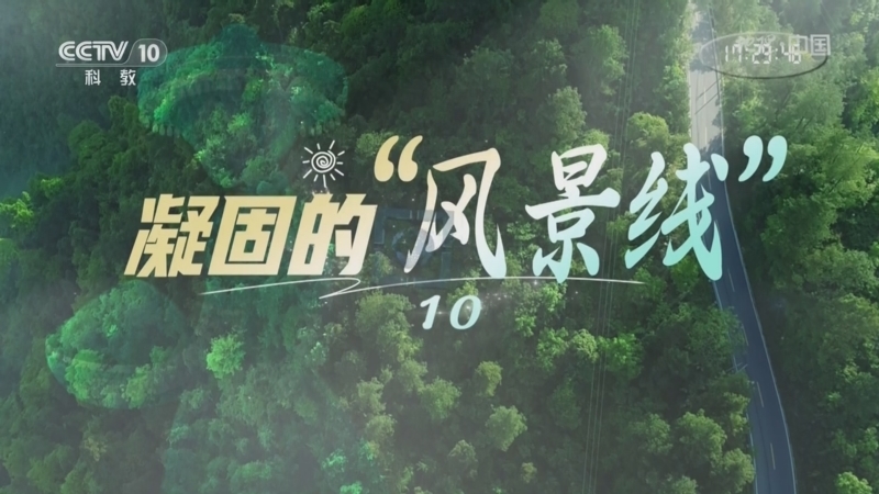 《地理·中国》 20251121 凝固的“风景线”10