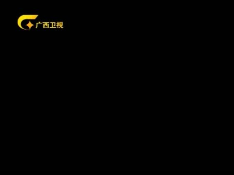 走南闯北广西人 《走南闯北广西人》 20140121 中国达人——卓君