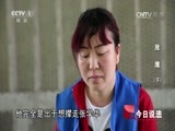 今日说法 《今日说法》 20170702 放鹰（下）