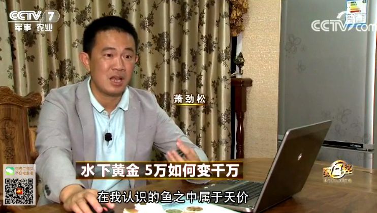 致富经 [致富经]水下黄金 5万如何变千万 20180316