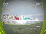 地理中国 《地理中国》 20170206 寻找“百鸟湖”（上）