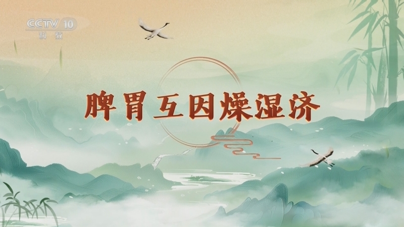 百家讲坛 《百家讲坛》 20250310 延年益寿话养生（第一部） 9 脾胃互因燥湿济