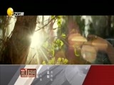 第一时间 《第一时间-辽宁》 20180430