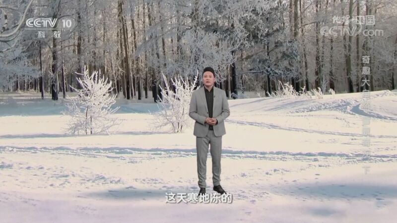 地理中国 《地理·中国》 20201110 奇趣大自然·雪原奇观 下