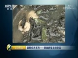 生财有道 《生财有道》 20170824 暑期经济系列——悬崖峭壁上的财富