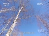 军事纪实 《军事纪实》 20150924 冰封的记忆④