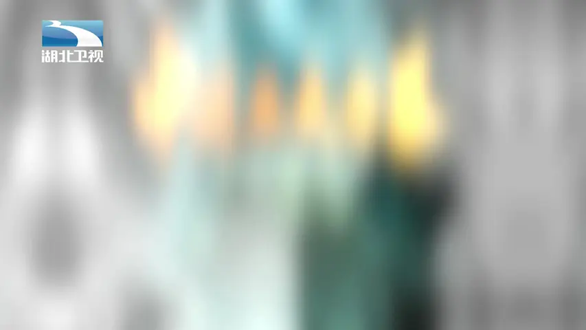 大揭秘 《大揭秘》第41集