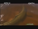 人与自然 《人与自然》 20130609 自然发现 人类星球 — 河流（下）