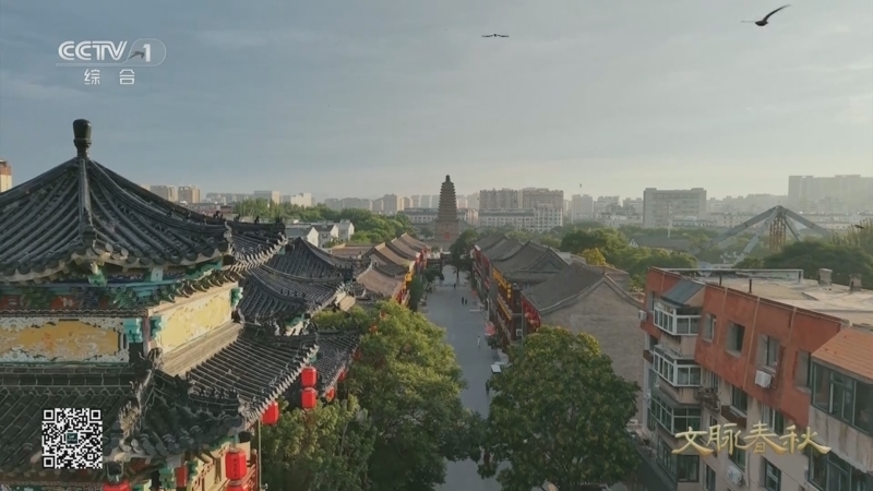 《文脉春秋·历史文化名城篇》 第64集 辽宁·朝阳
