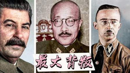 红墙往事 背叛与权力：二战背后的幕后交易