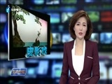 东南晚报 《东南晚报》 20171112