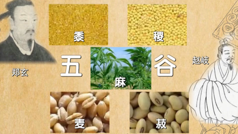 传奇故事 五谷丰登造化奇