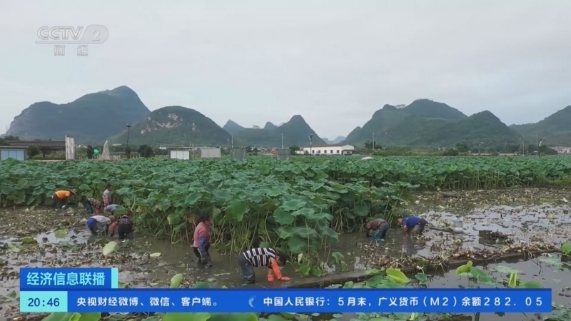 经济信息联播 《经济信息联播》 20230613