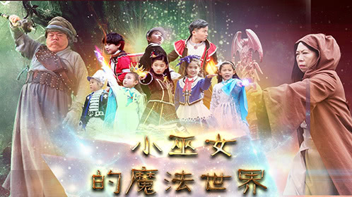 小巫女的魔法世界