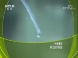 走近科学 《走近科学》 20180412 腐蚀的秘密