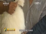 生财有道 《生财有道》 20160707 来自扶贫一线的报道（革命老区行）：走进山东蒙阴