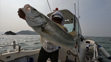 台风刚过出海热热身，一不小心就上了一条大家伙，一条就回本