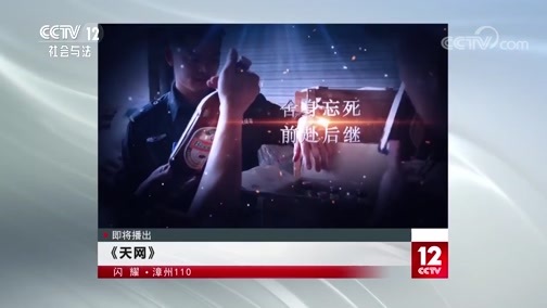 天网 《天网》 20191015 闪耀·漳州110