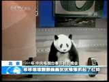 新闻袋袋裤 新闻袋袋裤 2010年 第217期
