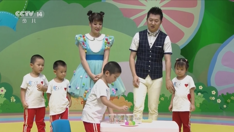 小小智慧树 《小小智慧树》 20230414