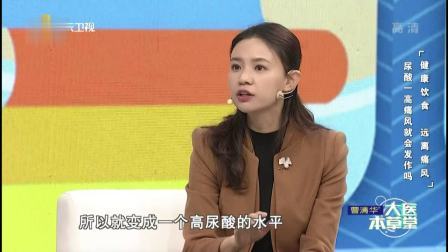 大医本草堂 2020 健康饮食 远离痛风 大医本草堂 20210101 超清版