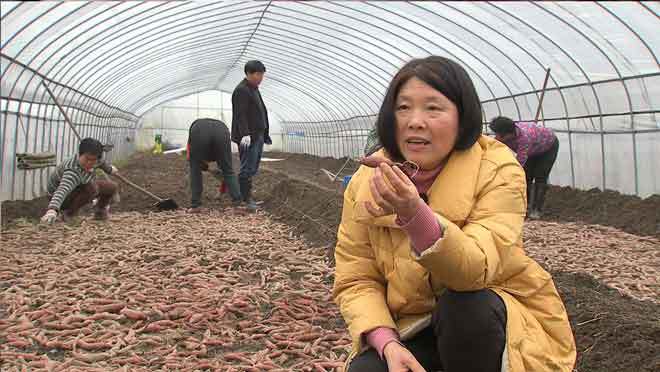 致富经 [致富经]赚钱赚到难为情 卖菜大姐意外赚来千万财 20190328