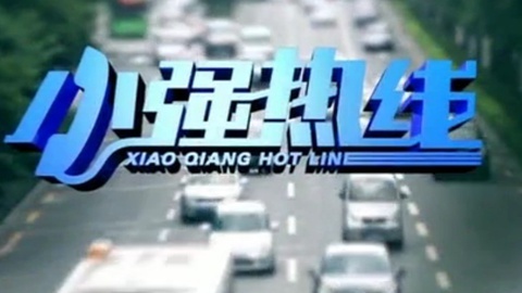 小强热线 小强热线20141114