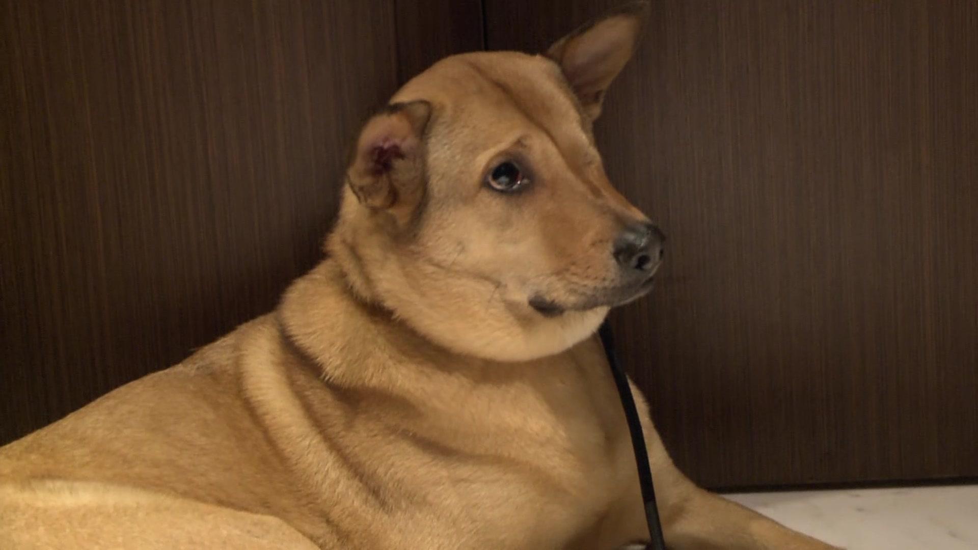 西泽教官亚洲开课第一季 第3集