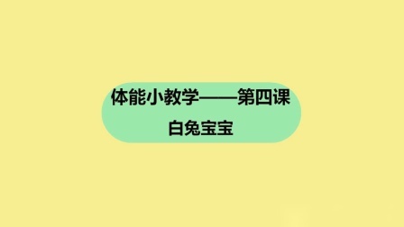 T10-4 白兔宝宝