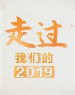 走过我们的2019