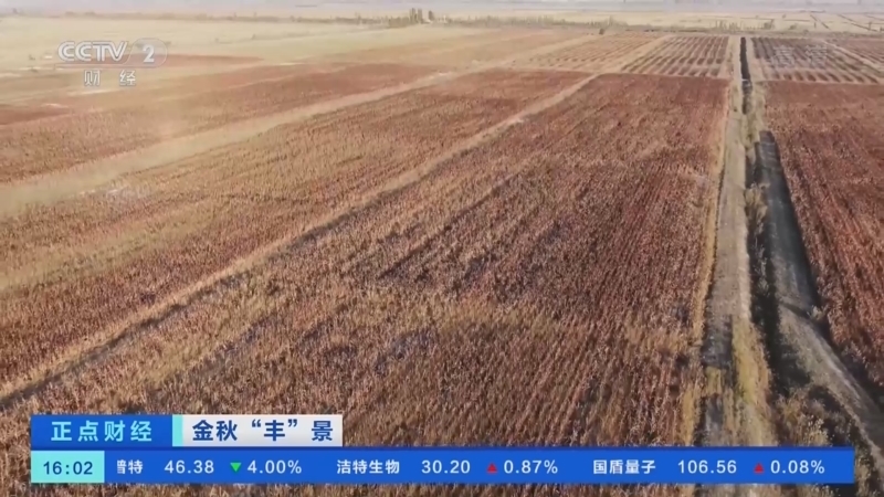 正点财经 《正点财经》 20221024 16:00