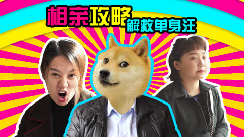 超实用相亲攻略解救单身汪