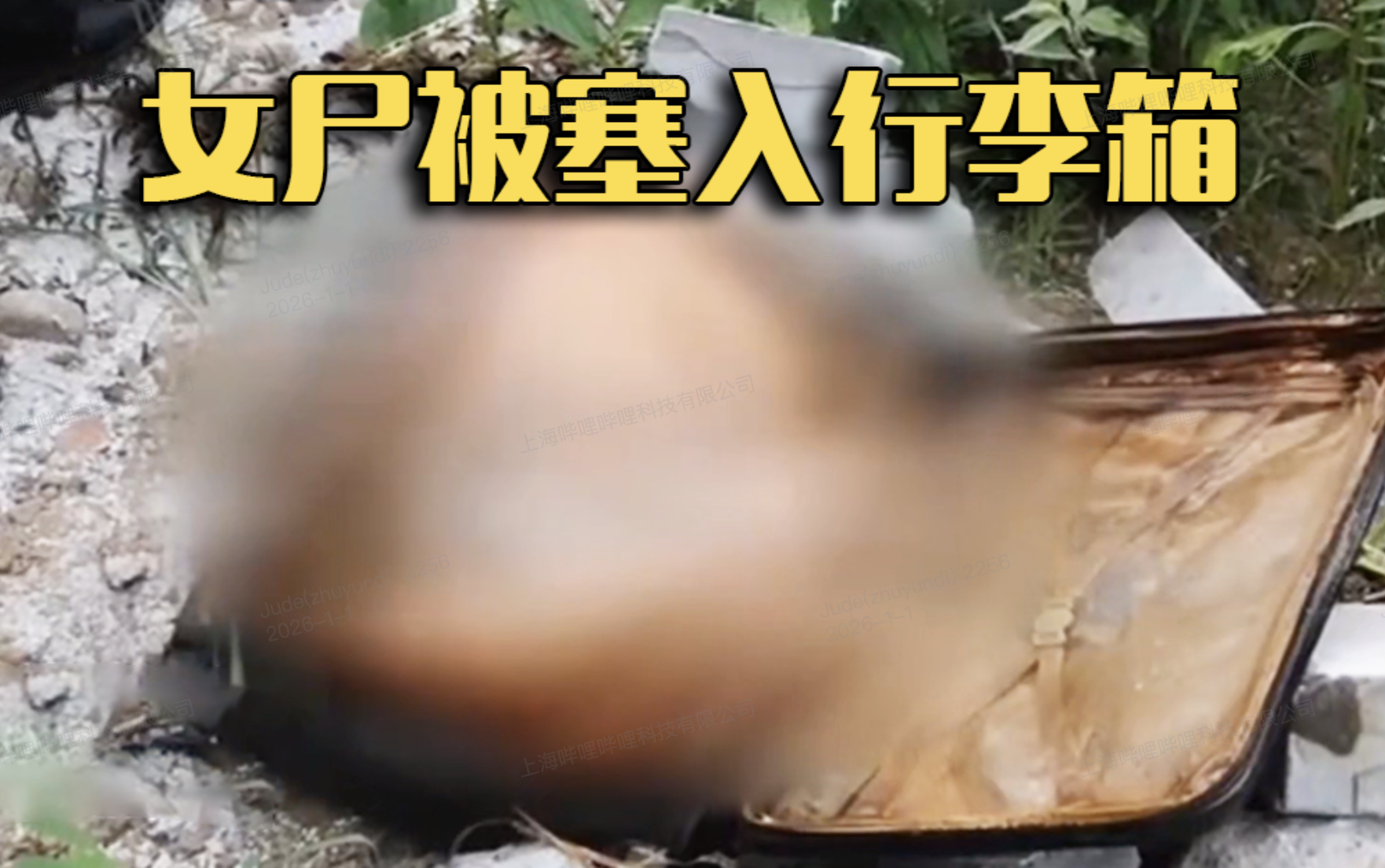 旅行箱里的秘密