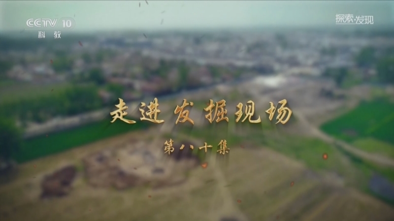探索发现 《探索·发现》 20260705 走进发掘现场（80）