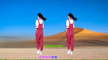流行DJ广场舞及教学 第三季 简单动感广场舞《骑上我的小骆驼》16步演示分解