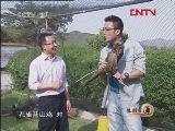 生财有道 《生财有道》 20120410 IT经营不懈的农庄梦