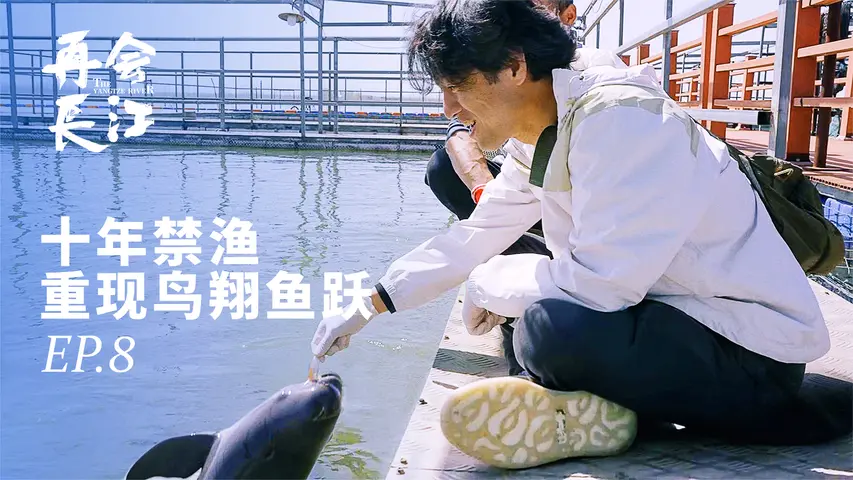 再会长江 《再会长江》第8集