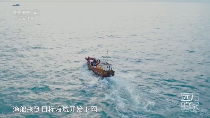 远方的家 《远方的家》 20250409 诗画江南 活力浙江 海阔桃红醉宁波