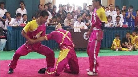 尘封赛事 尘封赛事 2005年第五届全国武术馆校武术比赛 对练比赛 004 男子三人对拳