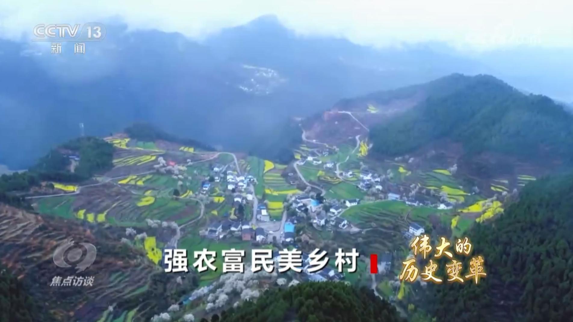 焦点访谈 《焦点访谈》 20240711 伟大的历史变革 强农富民美乡村