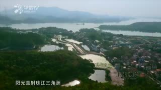 寻味顺德 寻味顺德 第一集 乡土之源