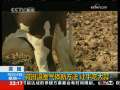 国际时讯 [英国]减排温室气体新方法 让牛吃大蒜
