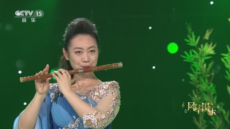 风华国乐 《风华国乐》 20230620