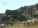 地理中国 《地理中国》 20150818 草原深处的秘密（中）